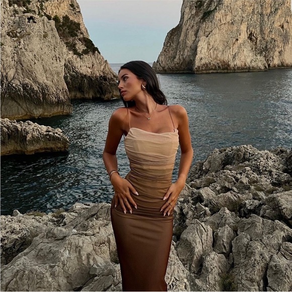 Zara Dresses & Skirts - 🤎 ZARA Bloggers Fav Brown Tulle Ruched Midi Tube Dress. MEDIUM. Great Condition!